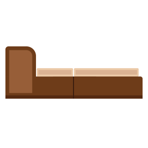 Sofa Cum Bed