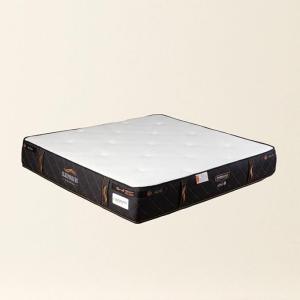 CRIMSON - Ortho Plus Posture Support Medical Mattress